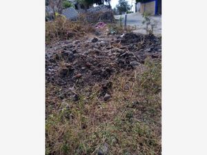 Terreno en Venta en Miguel Hidalgo YAUTEPEC Yautepec