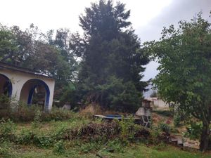 Terreno en Venta en Tepoztlan Centro Tepoztlán