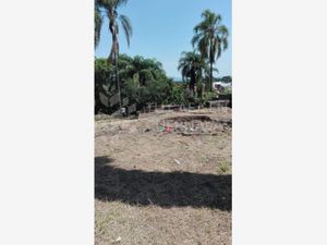 Terreno en Renta en Cuernavaca Centro Cuernavaca