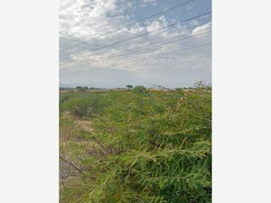 Terreno en Venta en Puente de Ixtla Centro Puente de Ixtla