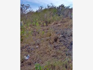 Terreno en Venta en Miguel Hidalgo YAUTEPEC Yautepec