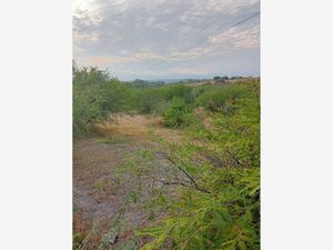 Terreno en Venta en Ahuehuetzingo Puente de Ixtla