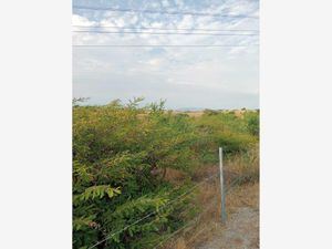 Terreno en Venta en Ahuehuetzingo Puente de Ixtla