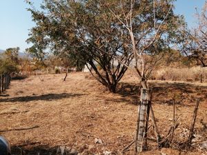 Terreno en Venta en Camino Antiguo a Tepoztlán Tepoztlán