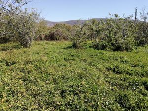 Terreno en Venta en Tetecalita Emiliano Zapata