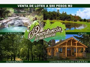 Terreno en Venta en Llano Grande Durango