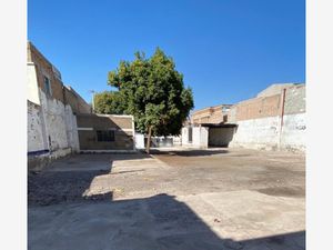 Terreno en Renta en Torreon Centro Torreón