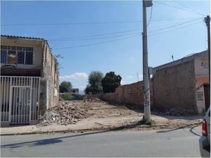 Terreno en Renta en Matamoros Centro Matamoros