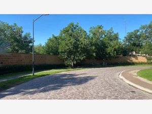 Terreno en Venta en La Barranca Torreón