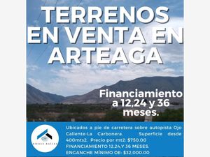 Terreno en Venta en Arteaga Centro Arteaga