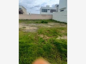 Terreno en Venta en Valle Imperial Zapopan