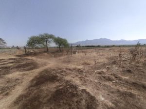 Terreno en Venta en Macuilxochitl de Artigas Carranza San Jerónimo Tlacochahuaya