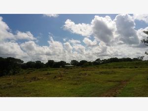 Terreno en Venta en San Juan Izamal Izamal