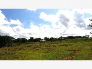 Terreno en Venta en San Juan Izamal Izamal