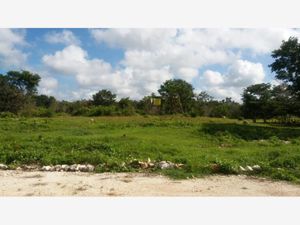 Terreno en Venta en San Juan Izamal Izamal