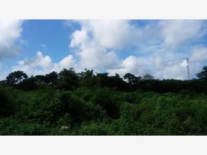 Terreno en Venta en San Juan Izamal Izamal