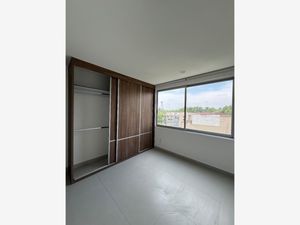 Departamento en Renta en Ciudad Jardin Coyoacán