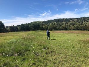 Terreno en Venta en Campestre Haras Amozoc