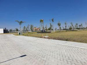 Terreno en Venta en Lomas de Angelópolis San Andrés Cholula