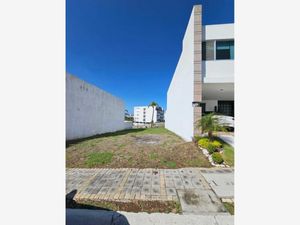 Terreno en Venta en Lomas de Angelópolis San Andrés Cholula