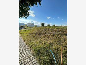 Terreno en Venta en Lomas de Angelópolis San Andrés Cholula