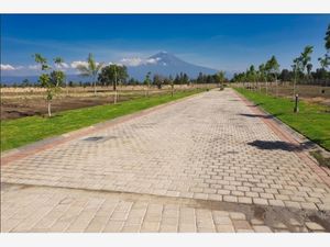 Terreno en Venta en Atlixco Centro Atlixco