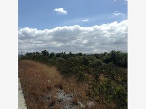 Terreno en Venta en Universidad de las Americas San Andrés Cholula