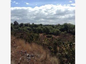 Terreno en Venta en Universidad de las Americas San Andrés Cholula