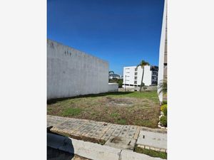 Terreno en Venta en Lomas de Angelópolis San Andrés Cholula