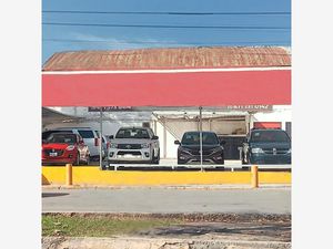 Terreno en Renta en Torreon Centro Torreón