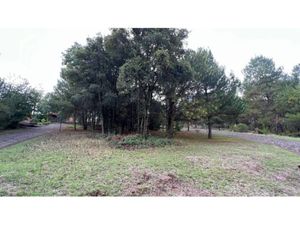 Terreno en Venta en Corazón de Durazno Pátzcuaro