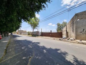 Terreno en Renta en Santa Maria Tequepexpan San Pedro Tlaquepaque