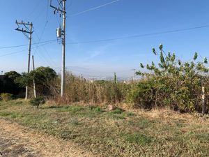 Terreno en Venta en San Jose del Castillo El Salto