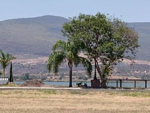 Terreno en Venta en Cajititlan Tlajomulco de Zúñiga