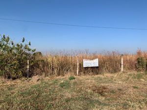 Terreno en Venta en San Jose del Castillo El Salto