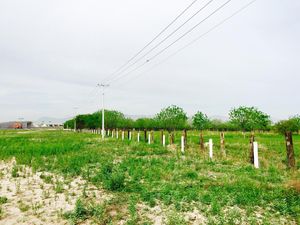 Terreno en Venta en Central Gómez Palacio