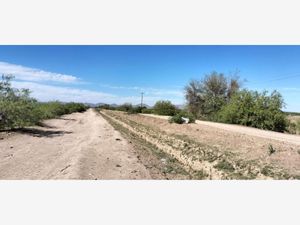 Terreno en Venta en El Sacrificio Matamoros