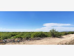 Terreno en Venta en El Sacrificio Matamoros