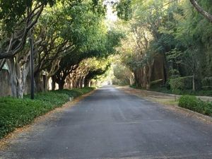 Terreno en Venta en Los Olivos Zapopan