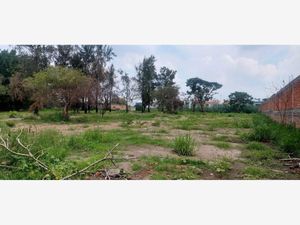 Terreno en Venta en Los Gavilanes Tlajomulco de Zúñiga