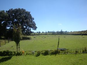 Finca/Rancho en Venta en Amealco de Bonfil Centro Amealco de Bonfil