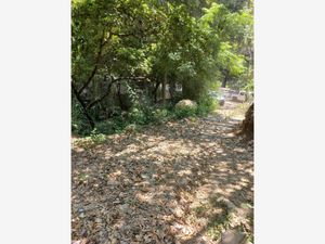 Terreno en Venta en Centro Jalpan de Serra