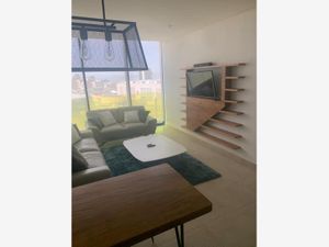 Departamento en Renta en Centro Sur Querétaro