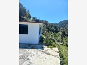 Finca/Rancho en Venta en Tres Cruces Pinal de Amoles