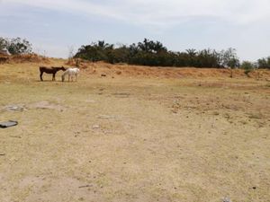 Terreno en Venta en Lopez Cotilla San Pedro Tlaquepaque