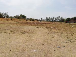 Terreno en Venta en Lopez Cotilla San Pedro Tlaquepaque