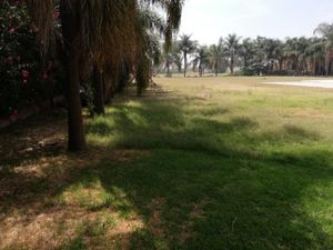 Terreno en Venta en Lopez Cotilla San Pedro Tlaquepaque