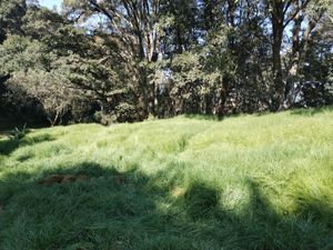 Terreno en Venta en Quinto Barrio (Ejido Cahuacán) Nicolás Romero