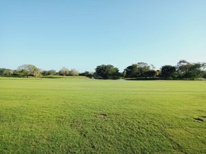 Terreno en el Country Club, Mérida. / mayanlife.mx