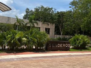 Terreno residencial en venta en senderos de Ciudad Mayakoba